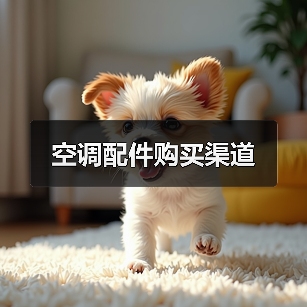 空调配件购买渠道（图2）