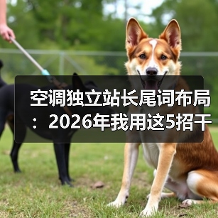 空调独立站长尾词布局:2026年我用这5招干掉了97%的同行(图3) 空调独立站长尾词布局:2026年我用这5招干掉了97%的同行(图3)